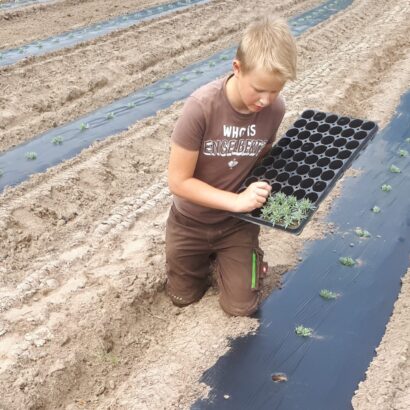 20200609_141711-4-scaled