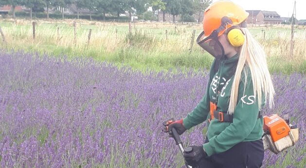 20220707_175120-3-scaled