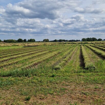 20230722_171419-1-scaled