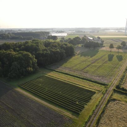 WhatsApp Image 2024-06-24 at 13.06.51